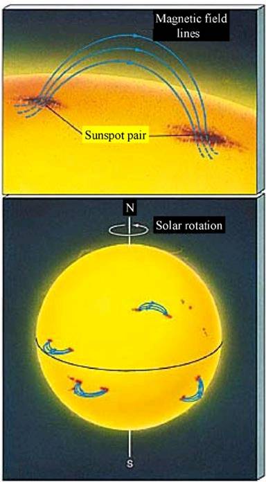 Sposób ułożenia linii pola magnetycznego w okolicach plam słonecznych