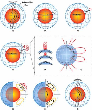 Linie pola magnetycznego deformowane przez różną prędkość liniową warstw materii zewnętrznej Słońca w zależności od szerokości heliograficznej
